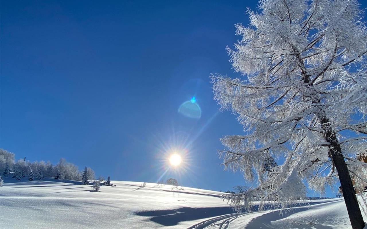 Апартаменты Address Nozawa Экстерьер фото